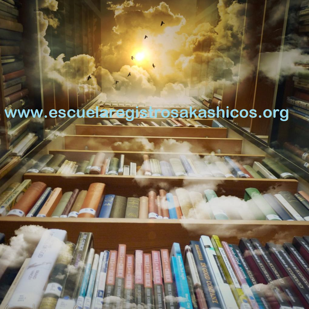 libreria hasta el cielo